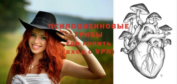 твердый Зерноград