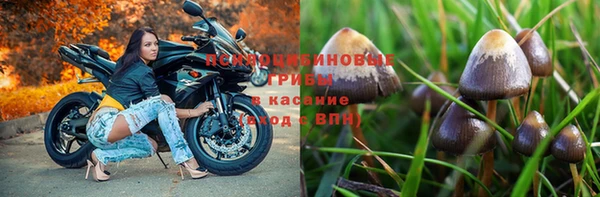 твердый Зерноград